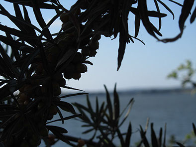 %_tempFileNameIMG_1127%