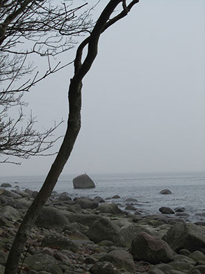 %_tempFileNameIMG_1204%