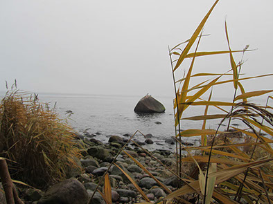 %_tempFileNameIMG_1207%