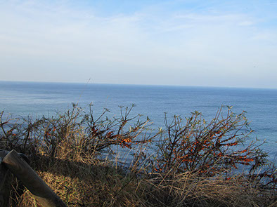 %_tempFileNameIMG_1221%